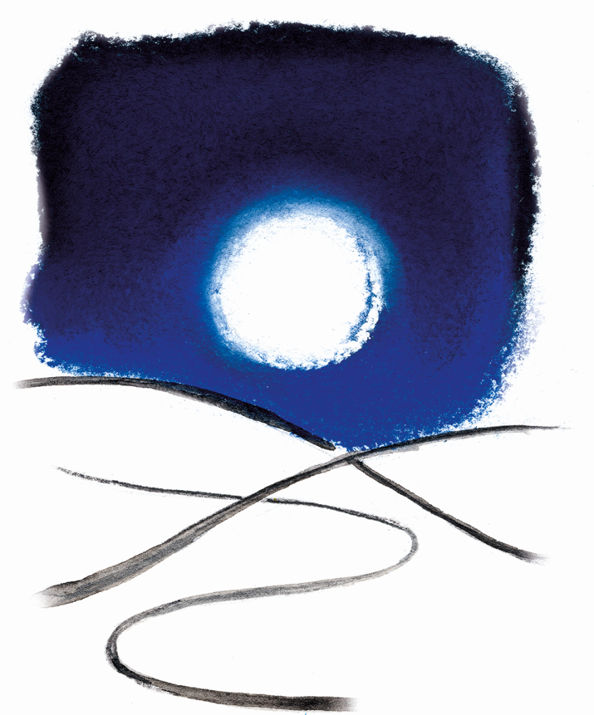Logo Tenuta Scajola